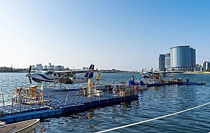 AMC官方行尸走肉丧尸幸存RPG《行尸走肉：无人之境》Steam页面 支持中文