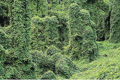 《解限机》全球风暴测试即将开启，登陆Steam新品节！