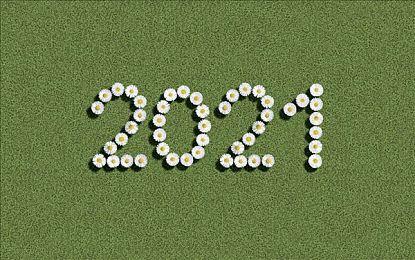 悲剧 《速度与激情：十字路口》发售不到两年就将停售